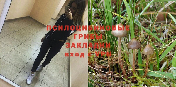 синтетический гашиш Балахна