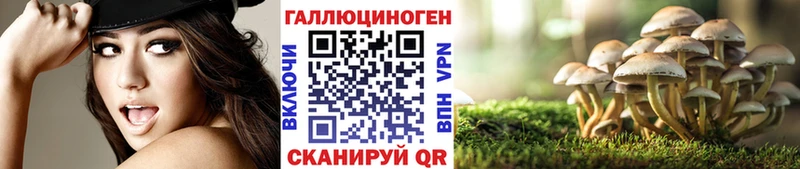 Галлюциногенные грибы MAGIC MUSHROOMS  где найти наркотики  Реутов 